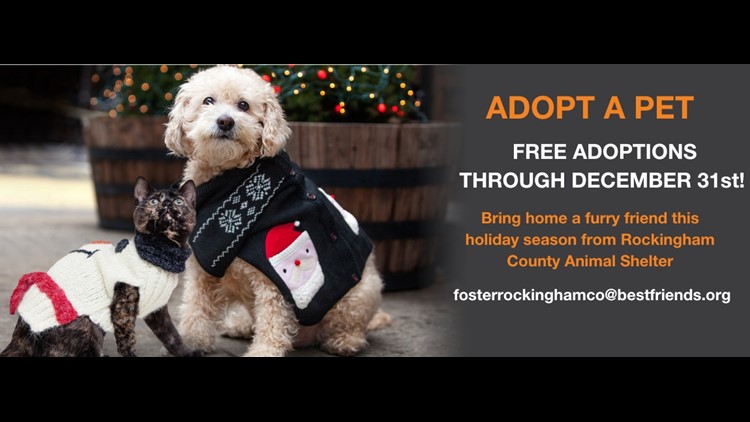 Rockingham County Animal Shelter offering free adoptions