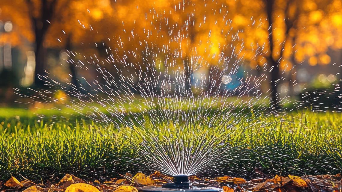 It's not 90°, but even in winter, you need to water your lawn with an inch of water per week | wfmynews2.com