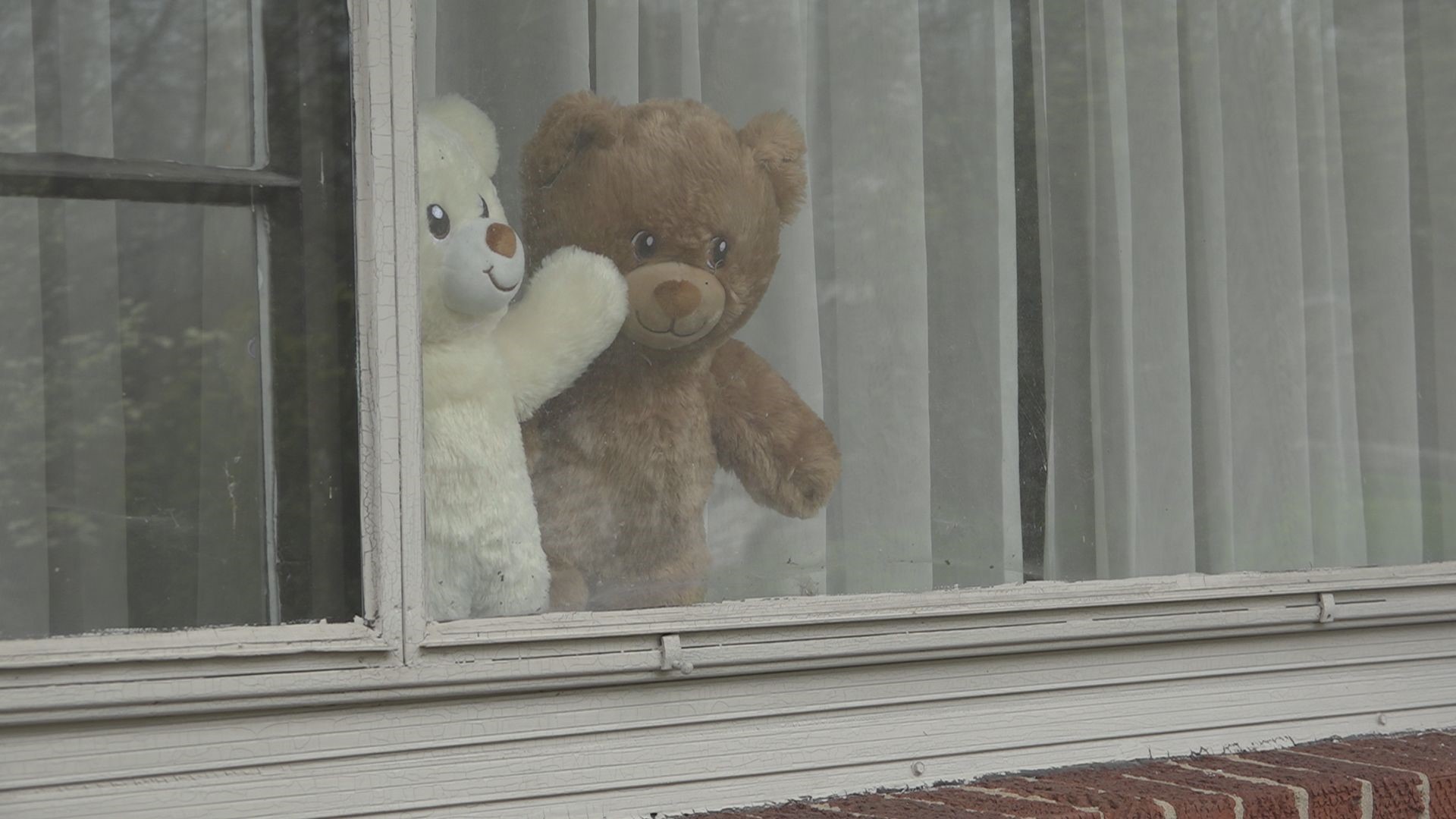 Put a teddy bear in your window so neighborhood kids can go bear hunting to take their minds off of being at home without their friends.