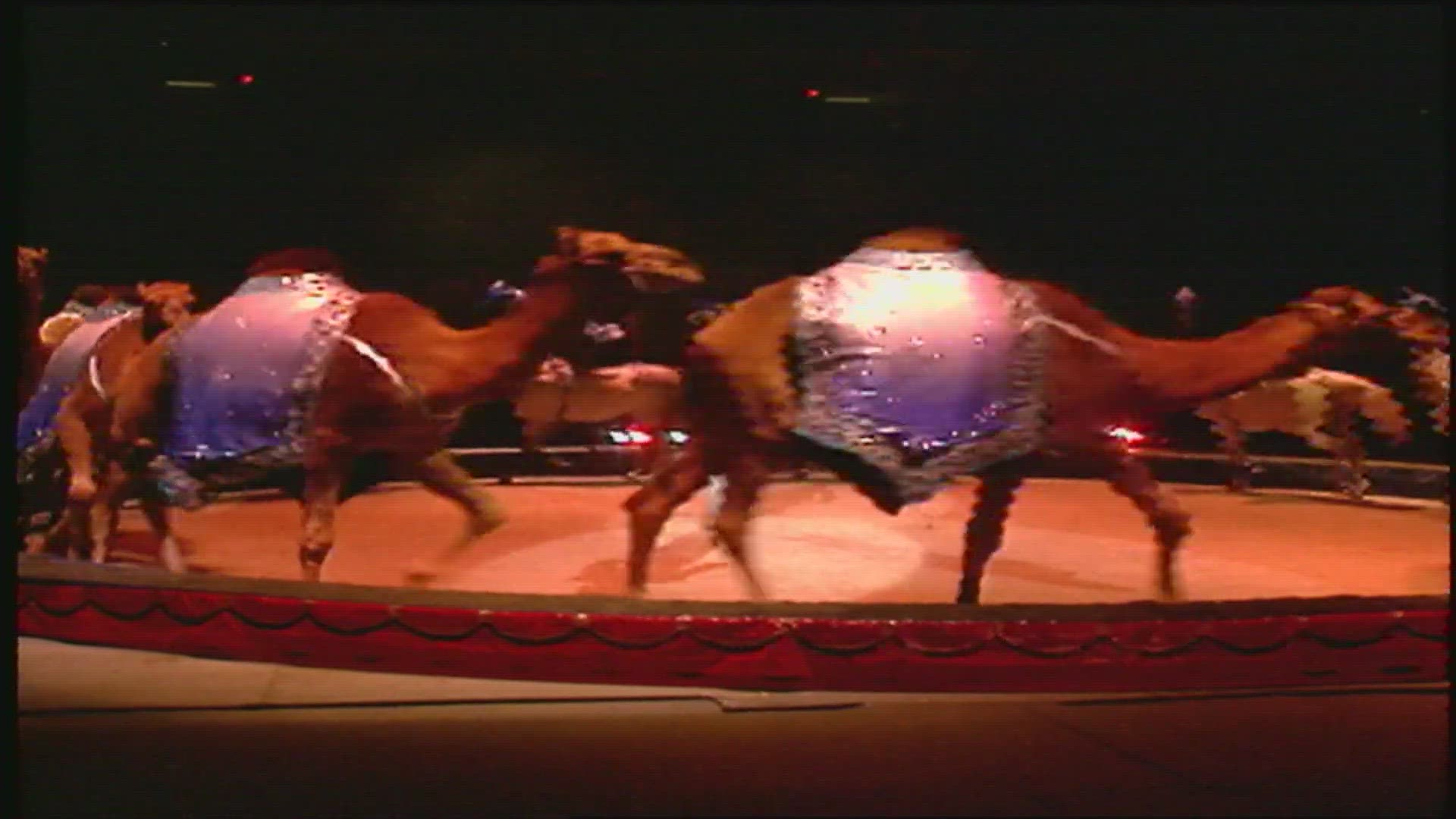 Longtime Anchor Lee Kinard served as ringmaster at the circus back in 1994.