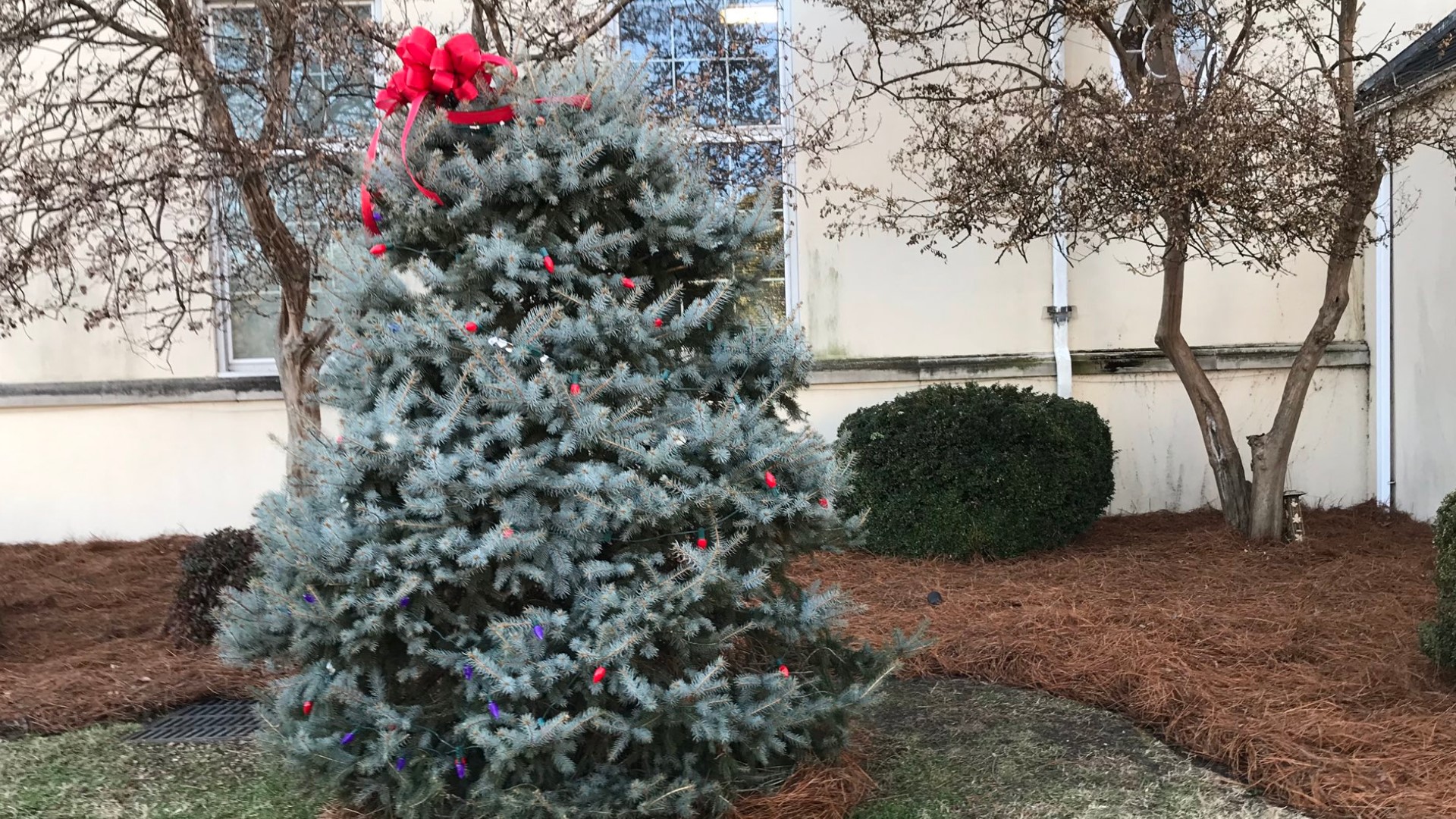 Guilford County Sheriff hosts annual Tree Lighting Ceremony