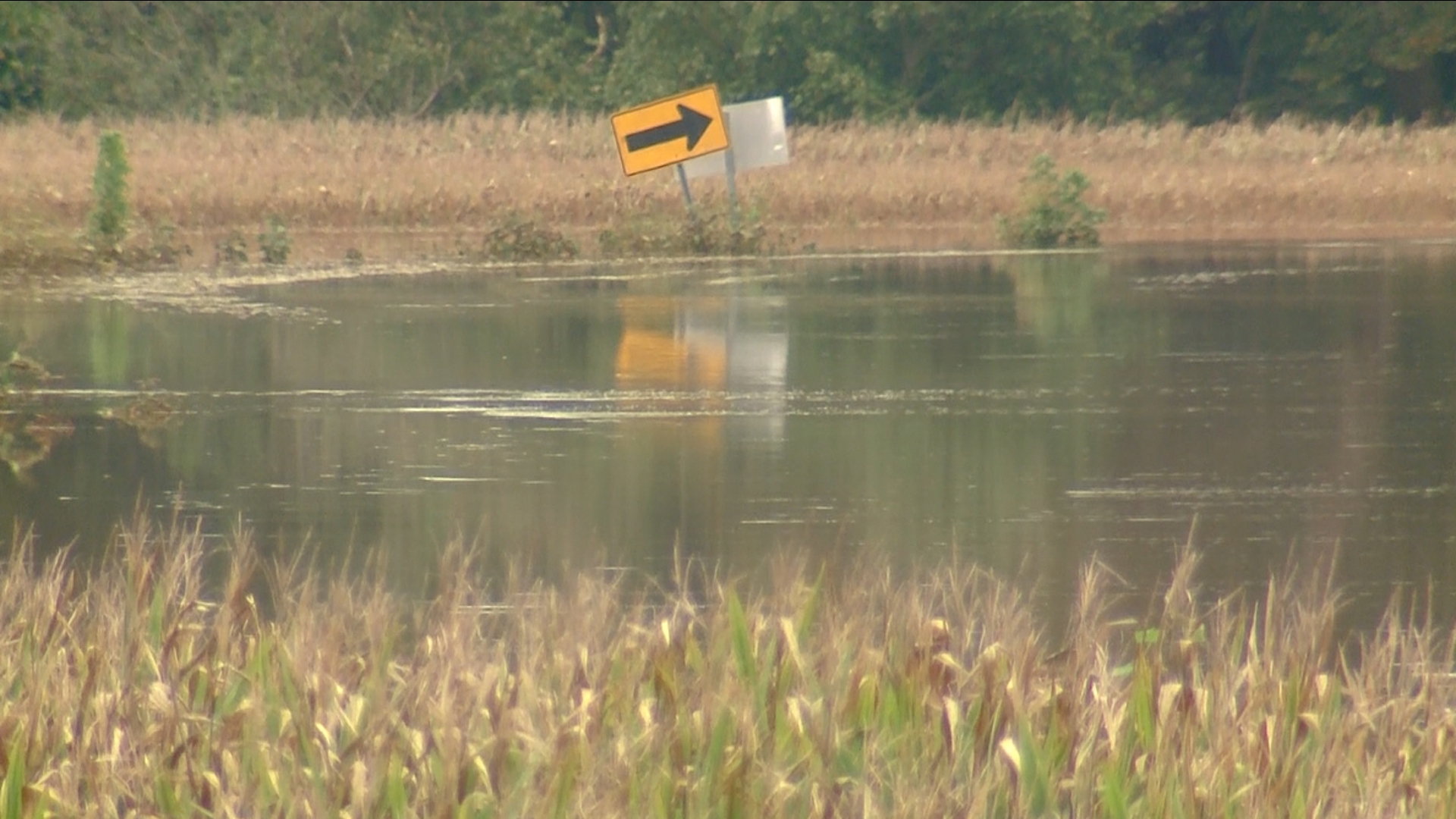 Dinkings Bottom Road in Yadkin County experienced flooding because of Helene.