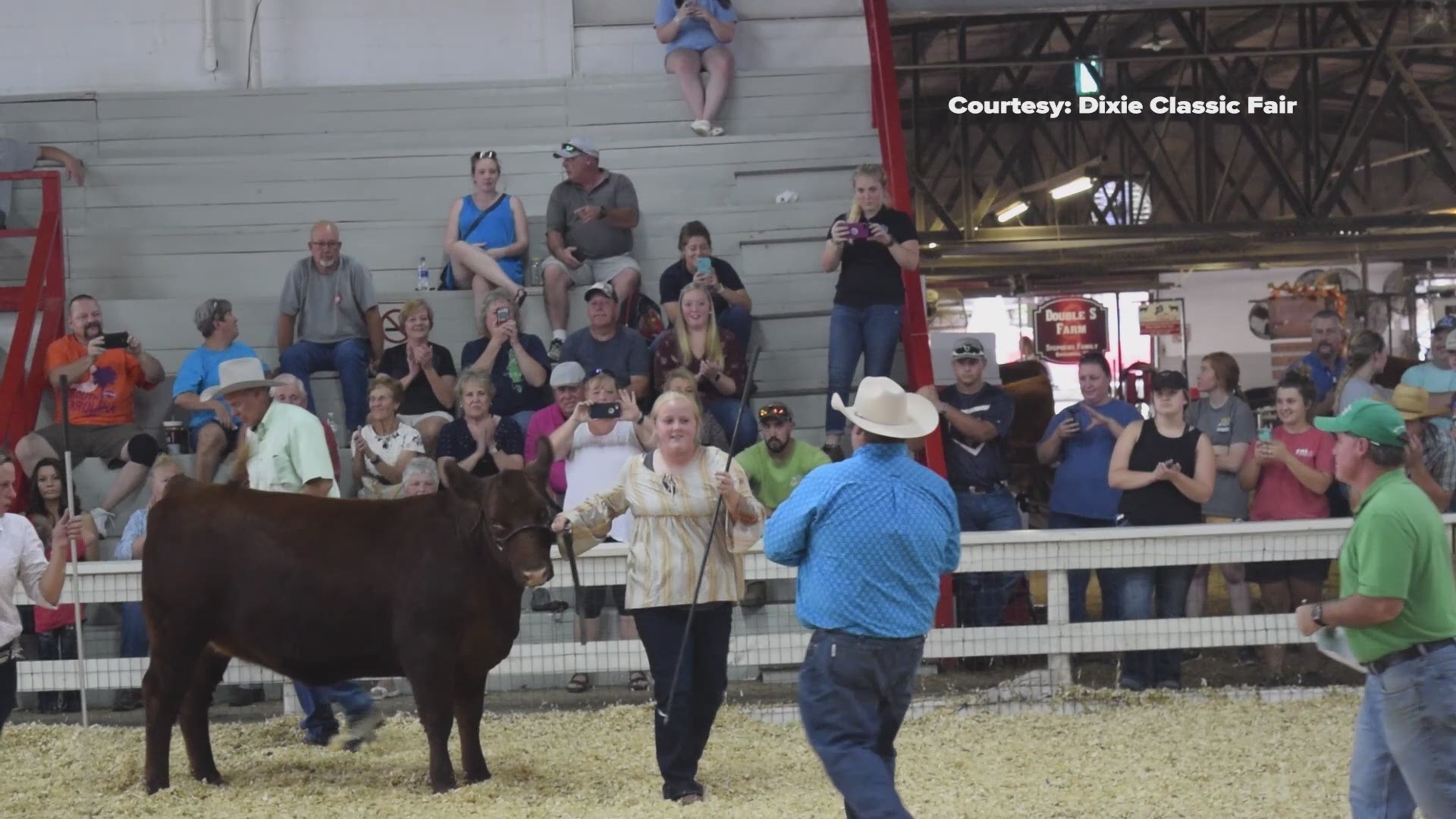 Couple gets engaged at the Dixe Classic Fair.