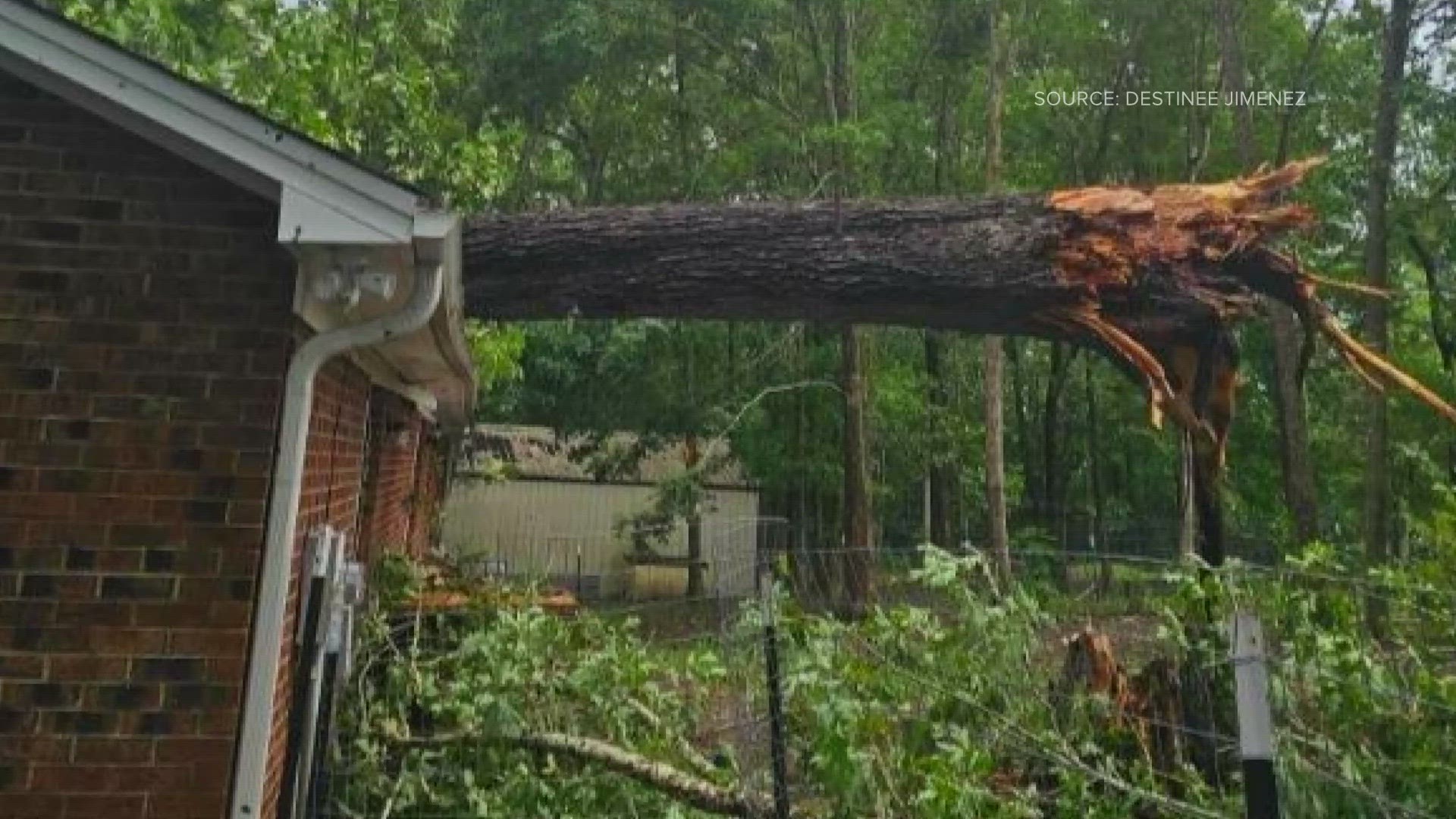 A tree fell on the Jimenez’s home during this week’s severe storms. Inspectors ruled it a total loss.