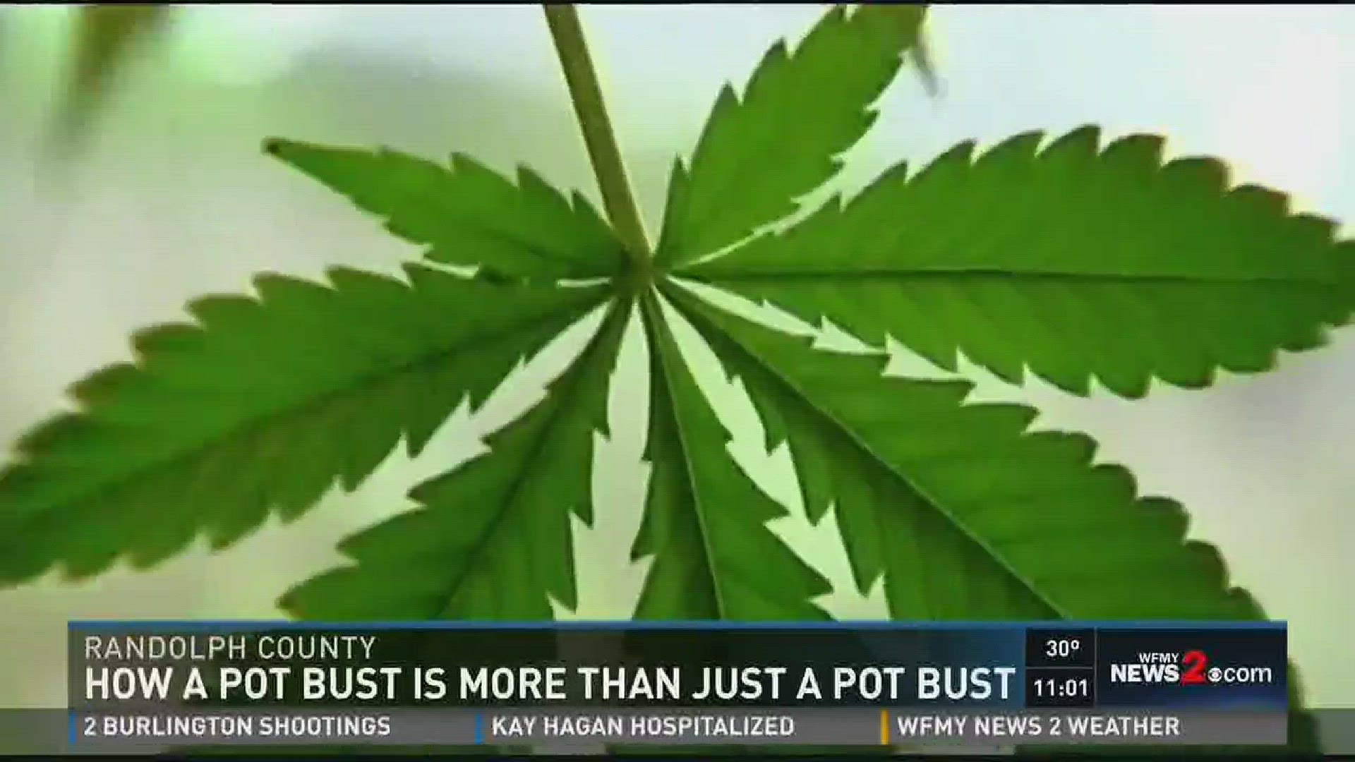 2 Wants To Know: How A Pot Bust Is More Than A Pot Bust