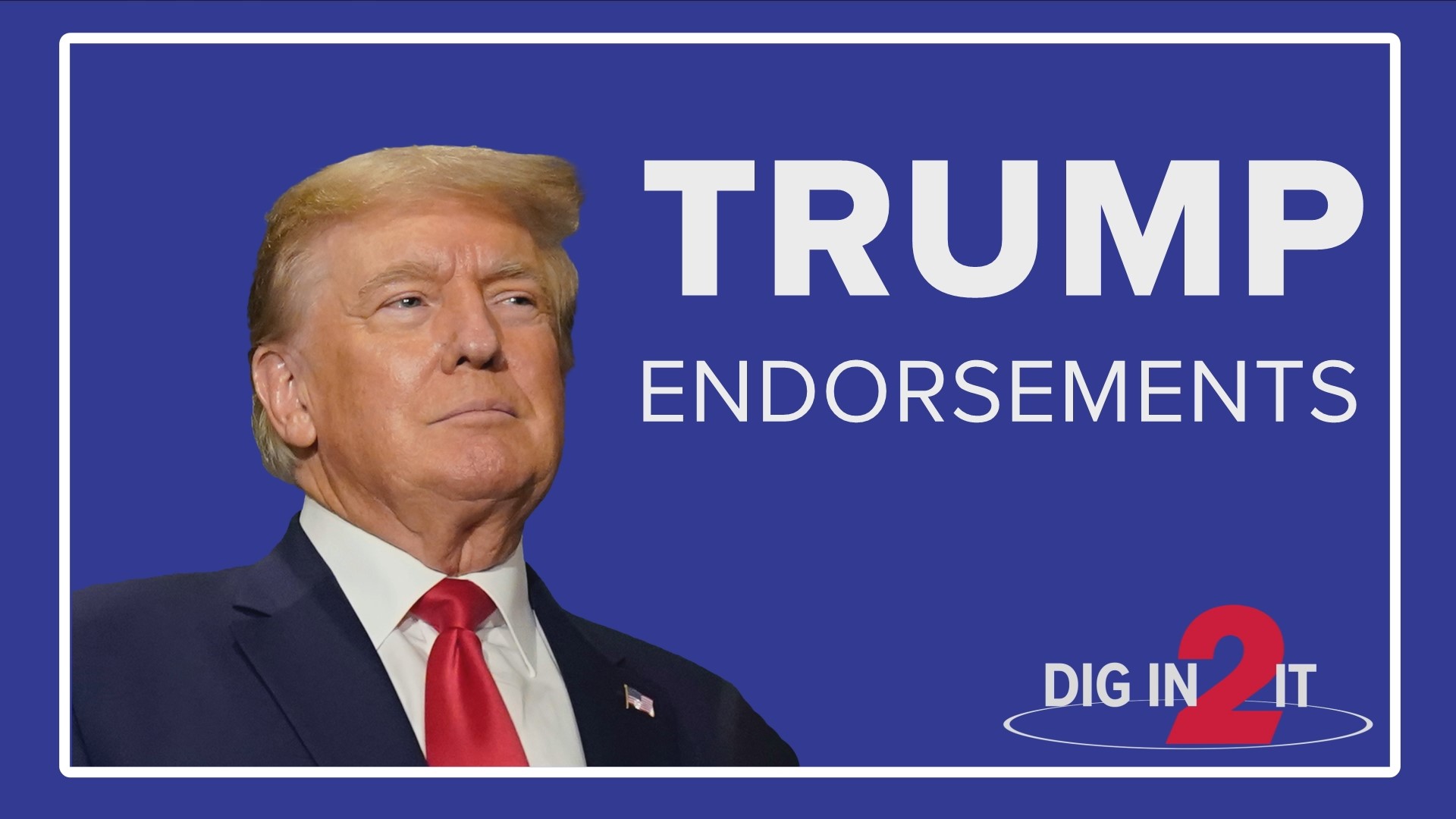 Former President Donald Trump has endorsed 238 candidates in regular and special elections in 2022.