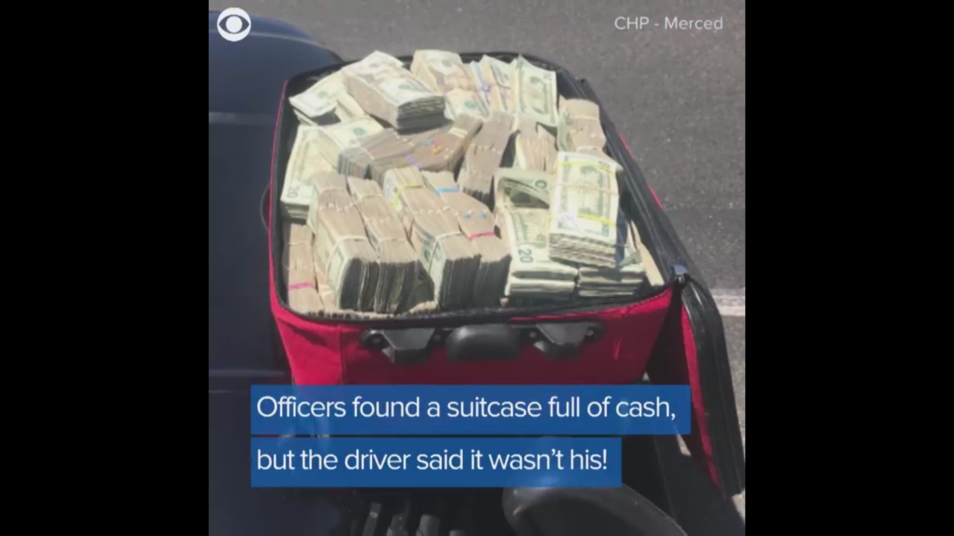 Did you lose a suitcase full of $500,000 in cash? If so, K9 officer "Bruce" just found it! Take a look at the dog's awesome discovery last month in Calif.