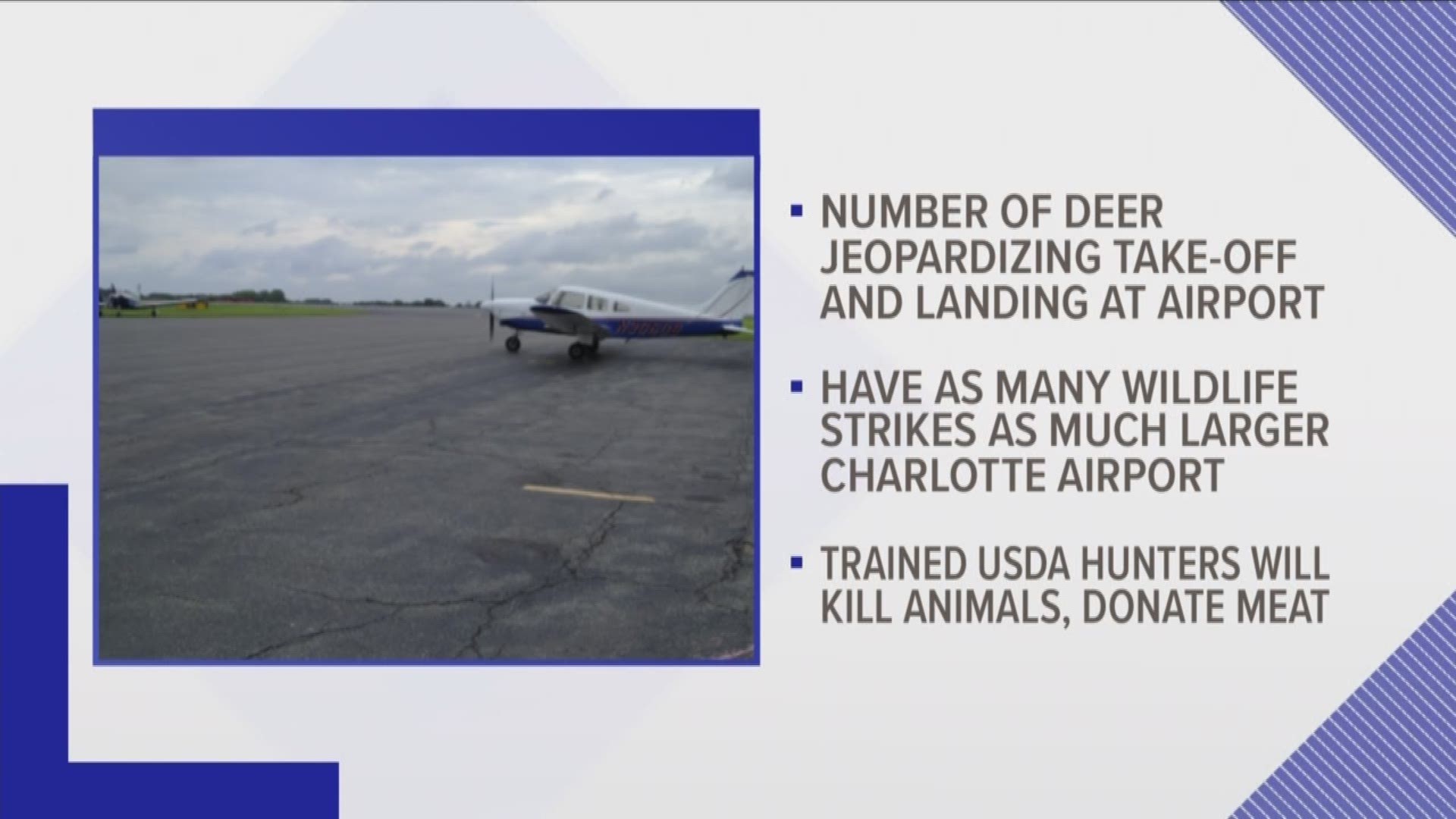 Winston-Salem city council approved a motion to let hunters get rid of deer living near Smith Reynolds Airport.