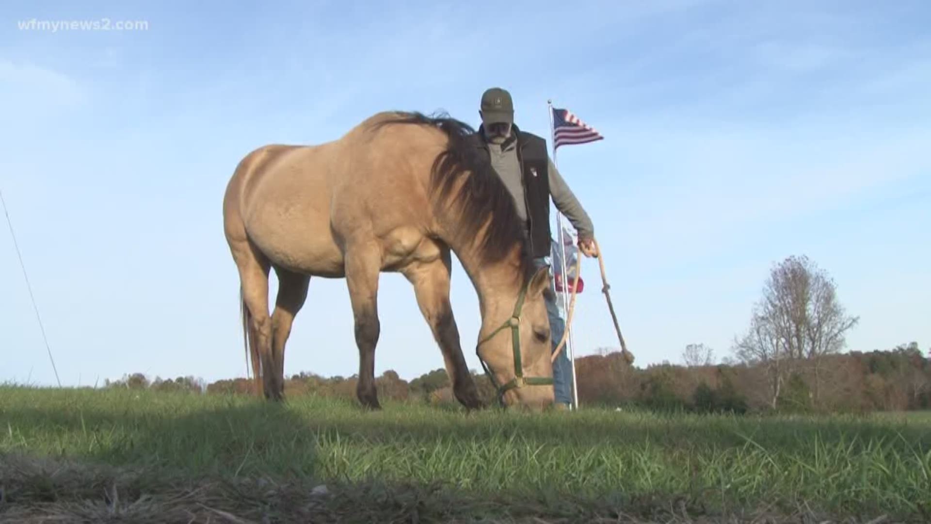 Horses Help Military Veterans With PTSD