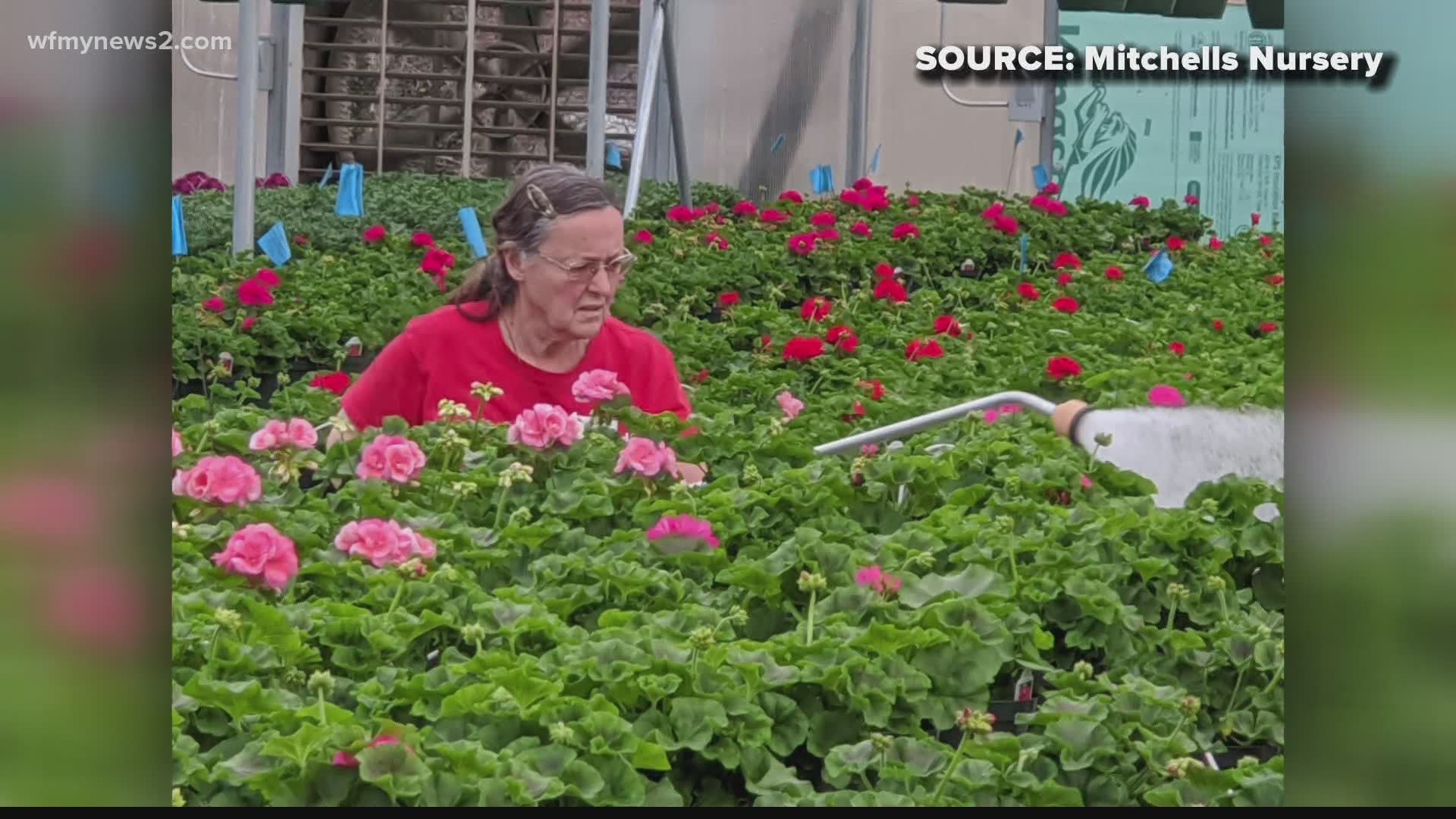 A Stokes County plant nursery is seeing success during the coronavirus pandemic. Owners with Mitchell’s Nursery explain what they’re doing to survive.