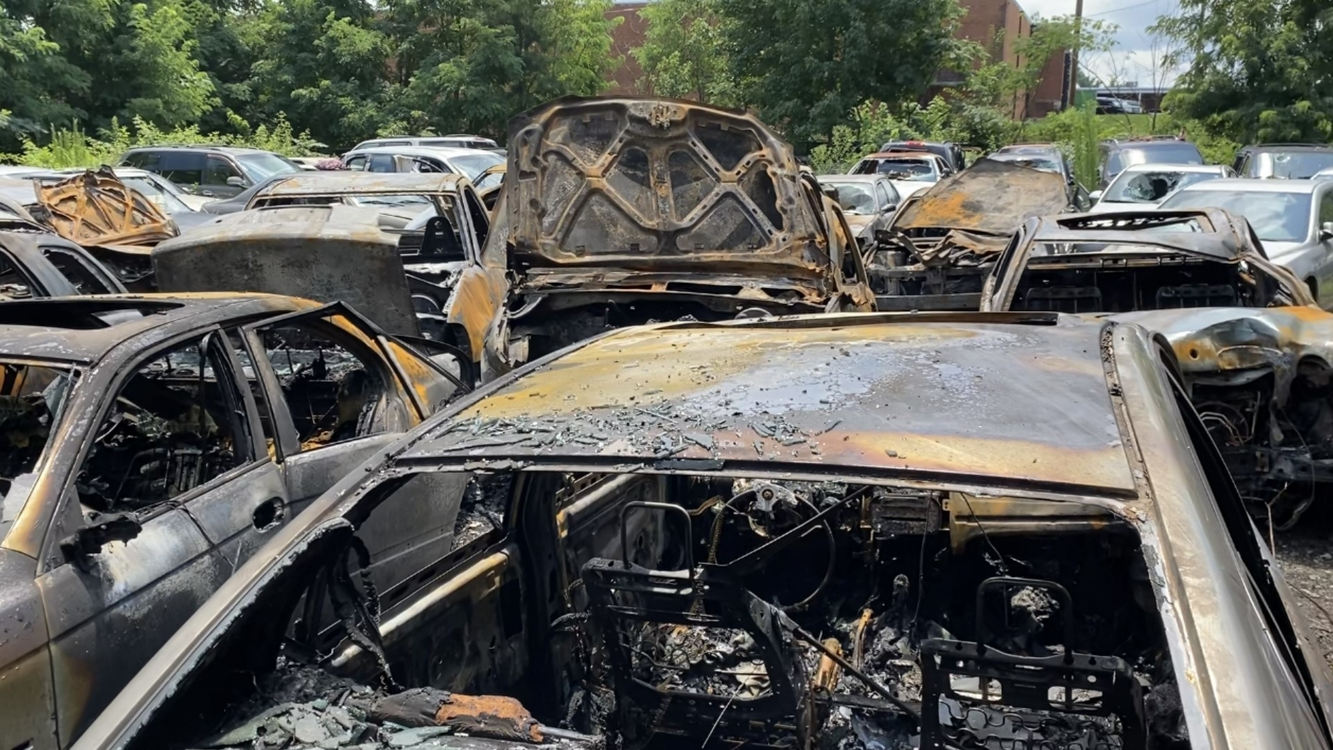 Arski Towing and Recovery CEO said someone broke into the law to steal catalytic converters when their tool sparked and caught the grass on fire.