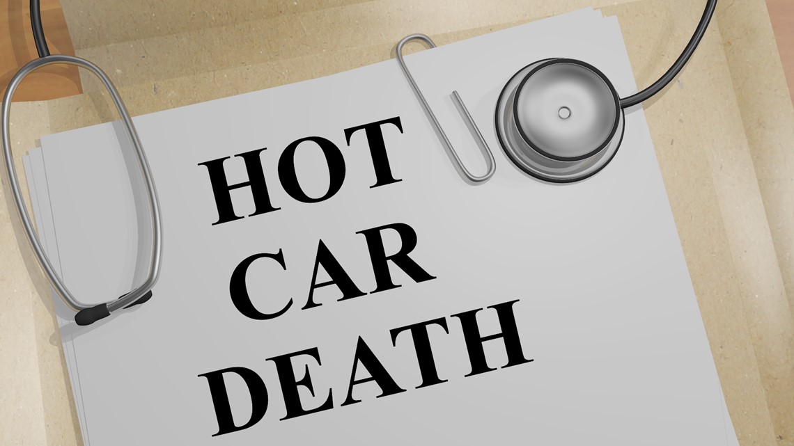 Hot Car Deaths: What we, the government & automakers can do - Vimarsana News