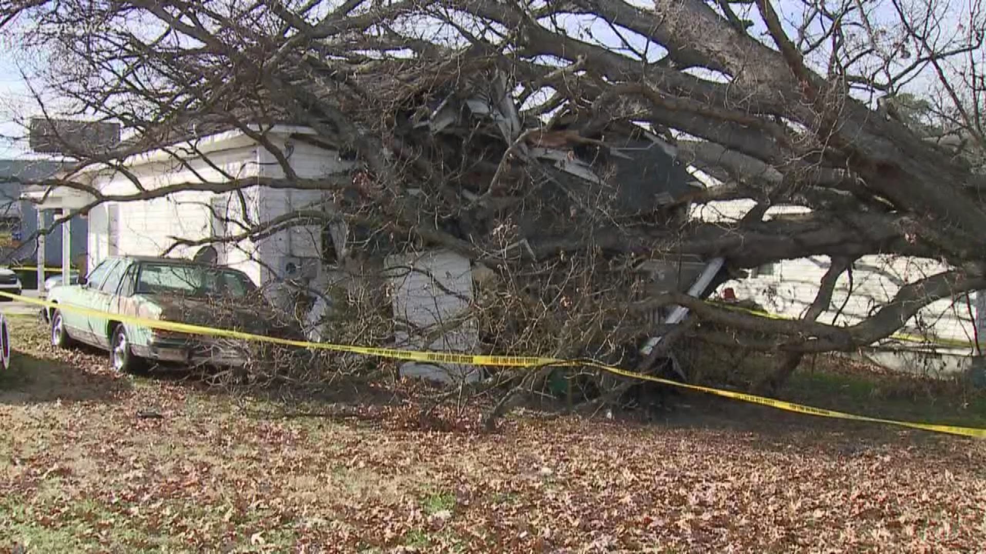 Crews estimate the tree caused about $40,000 in damage, both to the home itself and items inside the home.