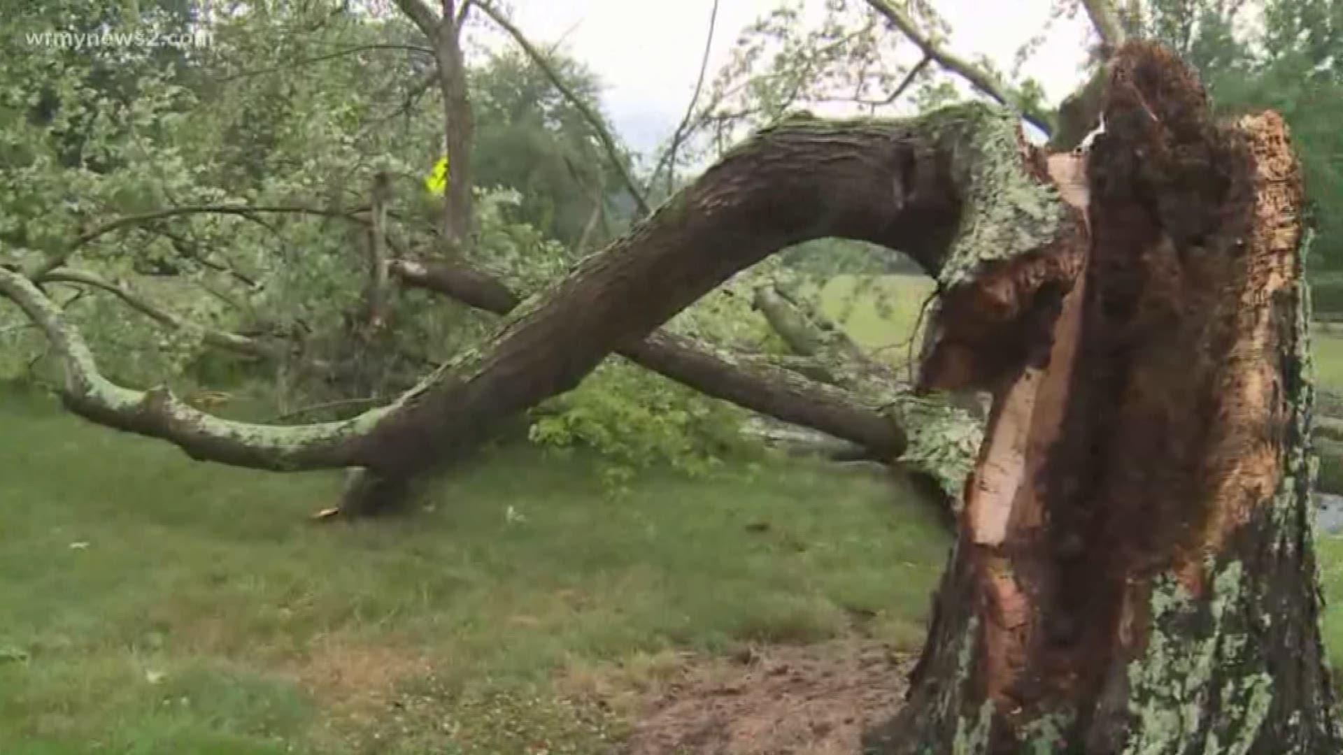 Powerful winds snapped a large tree on Wendover Avenue in  Greensboro.