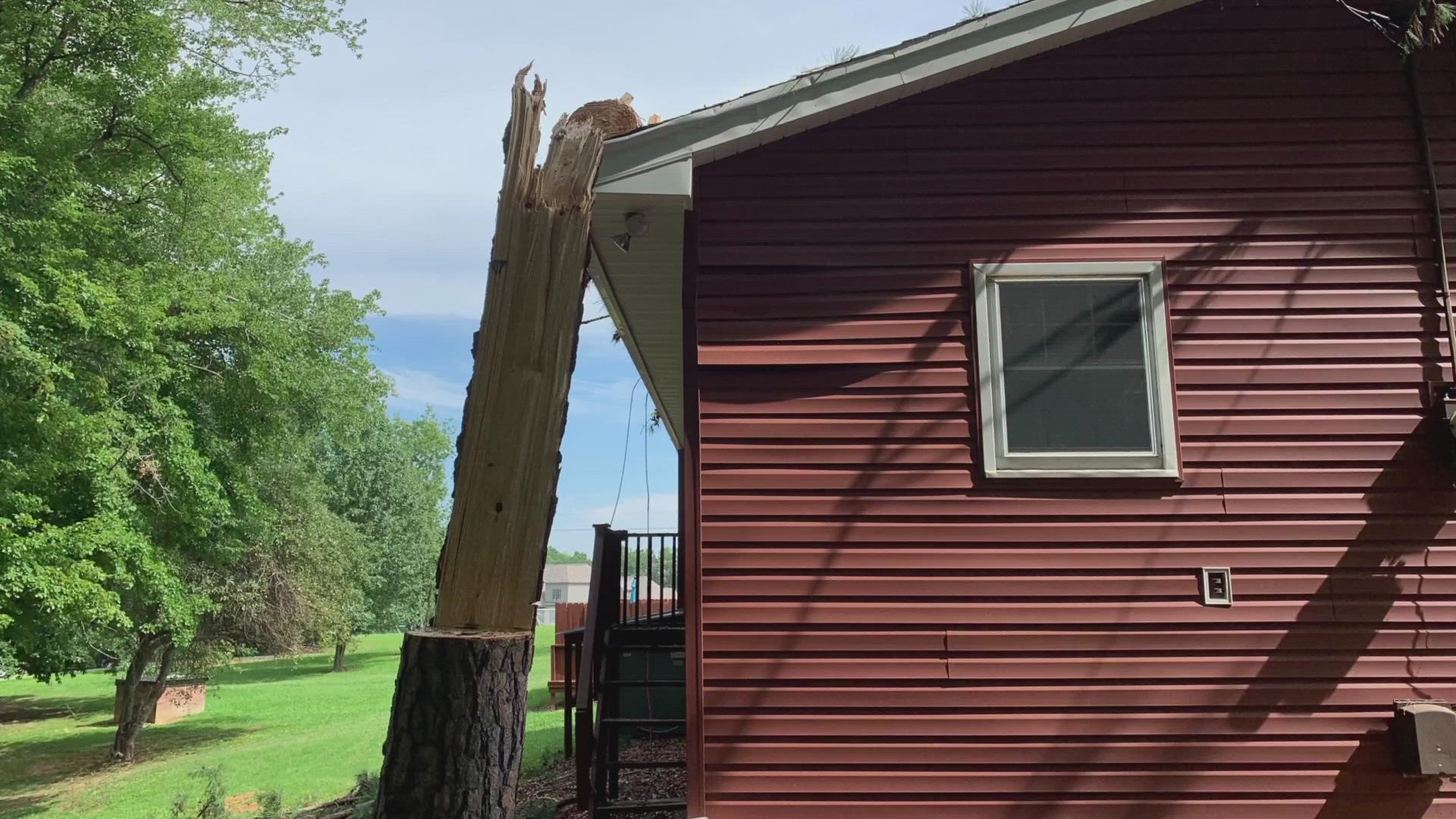 A botched tree removal job left Lisa Slade with a hole in her roof, so she called 2 Wants to Know's Kevin Kennedy for help.