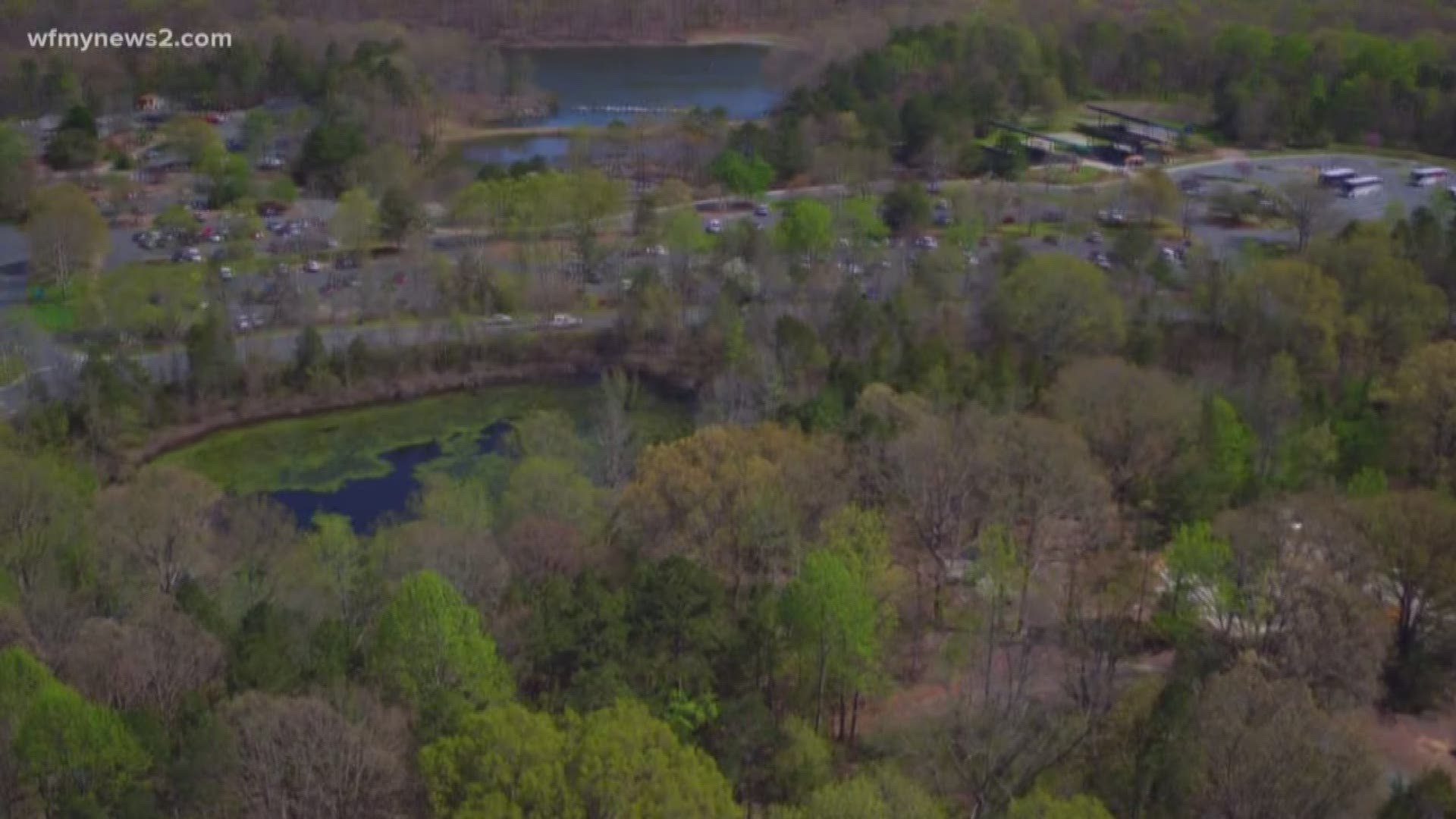 NC Zoo Needs More Parking With Larger Crowds