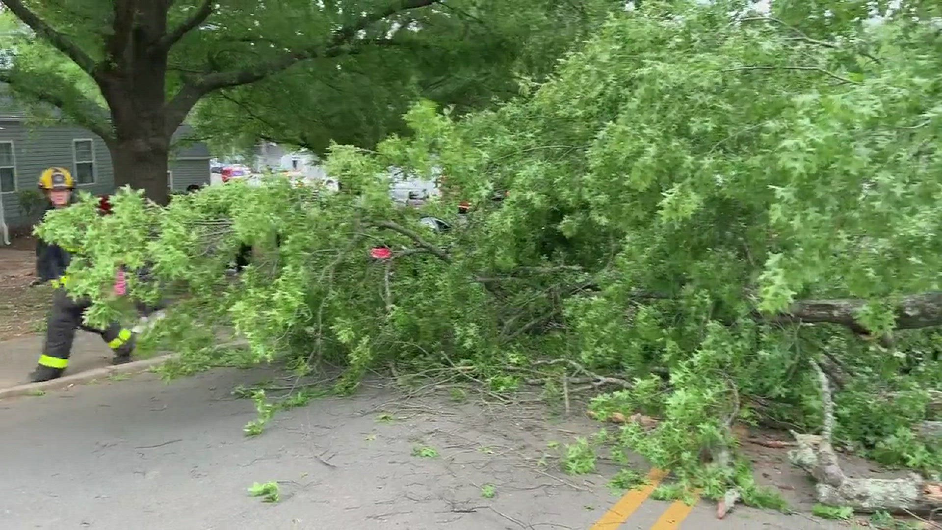 Firefighters in Winston-Salem shut down Timlic Avenue after a tree falls on several cars.