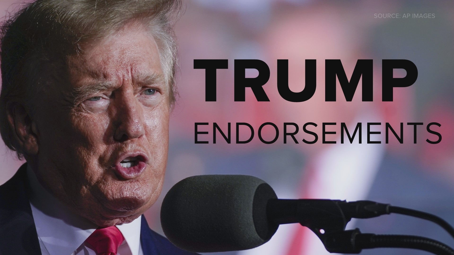 Former President Donald Trump has endorsed 238 candidates in regular and special elections in 2022.