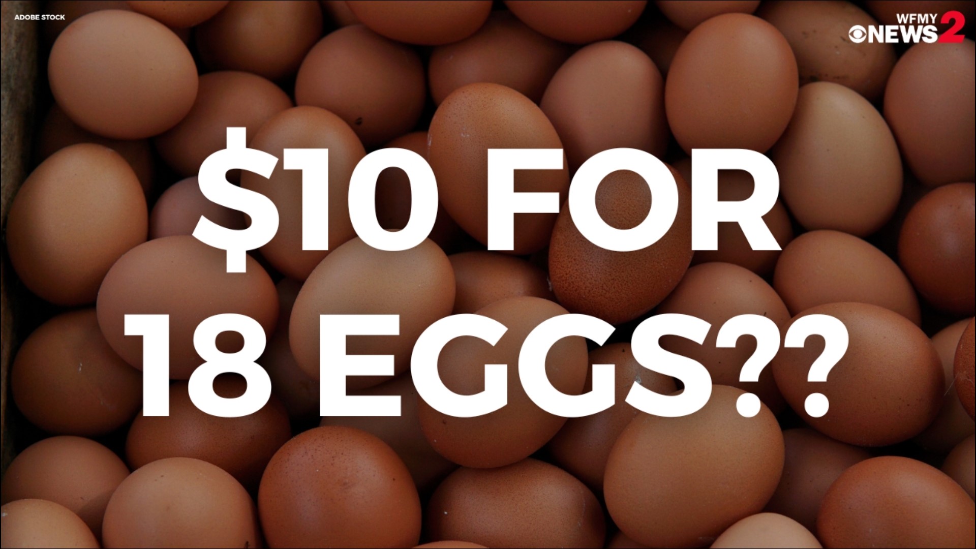 2 Wants To Know searched eggs prices in the Greensboro area to find the best deal.