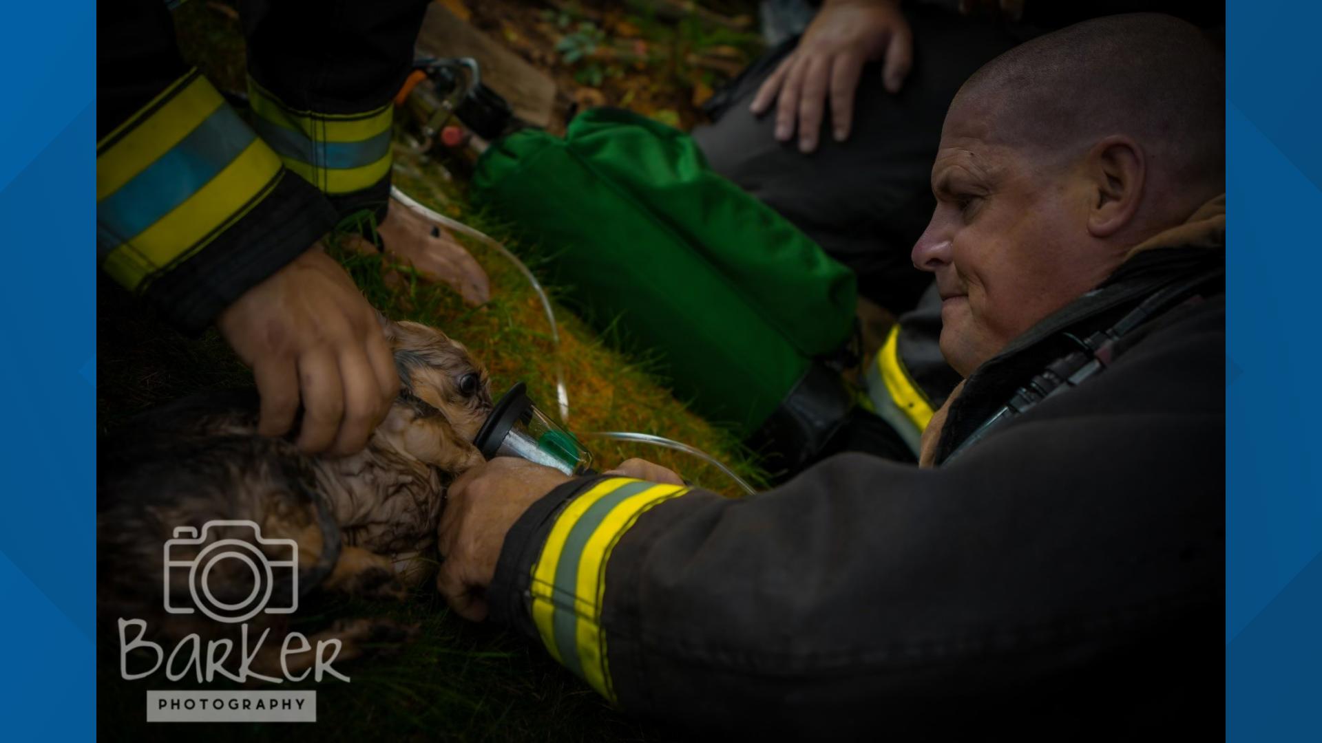 4 people, 1 dog displaced after Thomasville house fire | wfmynews2.com