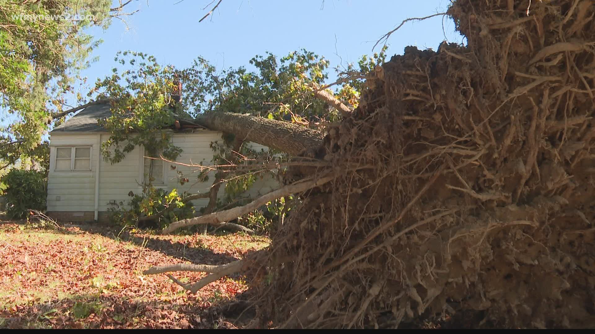 Nicholas Smith was asleep when the tree came crashing through the roof during yesterday's storms.