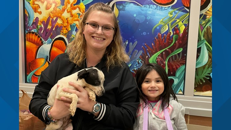 Nearly all 73 dogs and puppies were adopted from Forsyth Humane Society