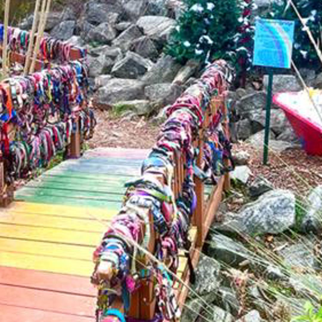 Beloved Lake Lure Rainbow Bridge To Be Rebuilt In The Fall Wfmynews2 beloved-lake-lure-rainbow-bridge-to-be-rebuilt-in-the-fall-wfmynews2