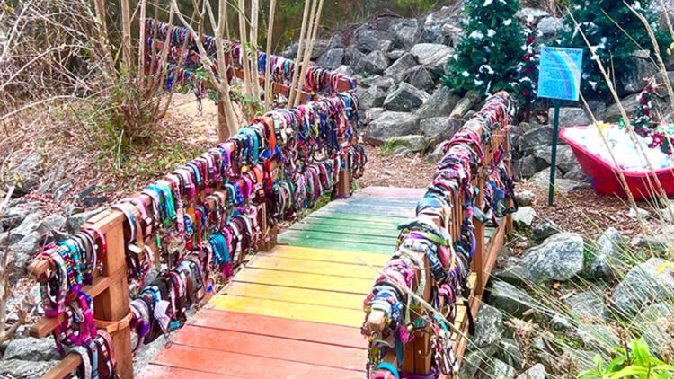 beloved-lake-lure-rainbow-bridge-to-be-rebuilt-in-the-fall-wfmynews2