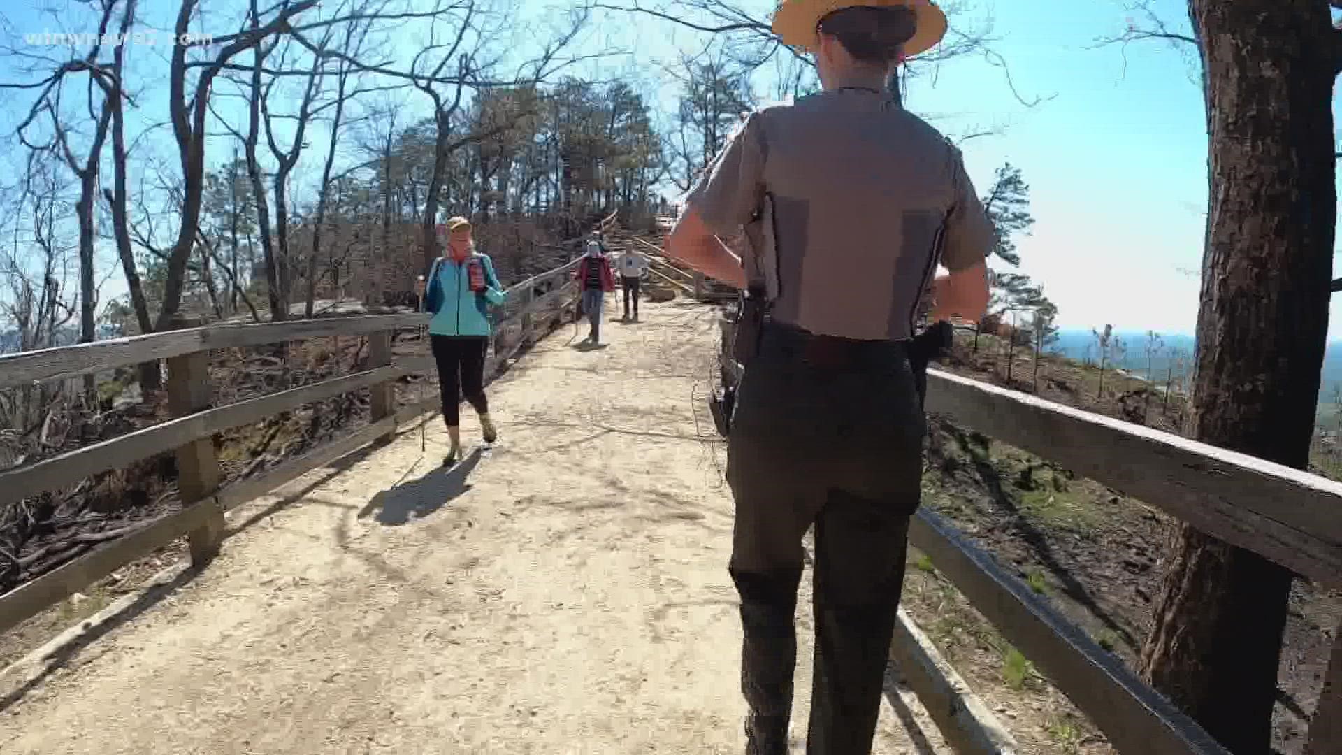 Pilot Mountain continues to bounce back after a fire burned more than 1,000 acres.