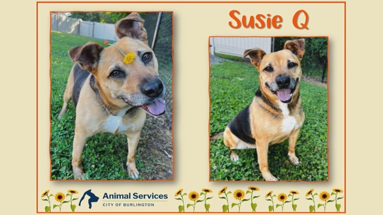 2 the rescue: Susie Q!