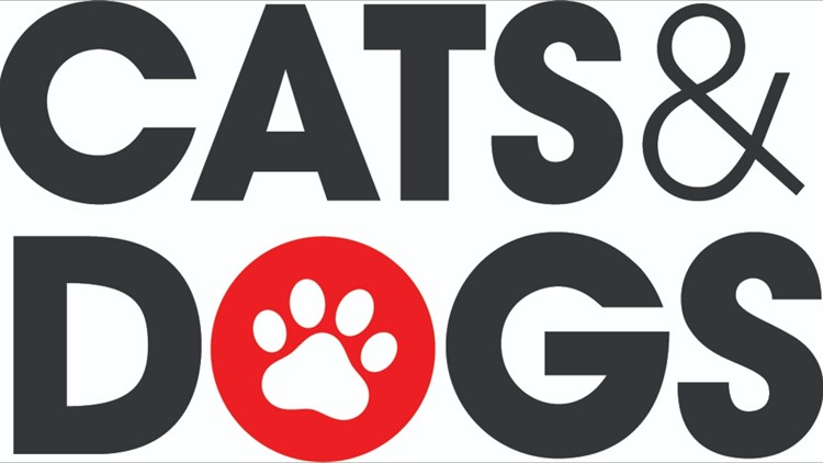 Greensboro Science Center introduce new traveling 'Cats and Dogs' exhibit