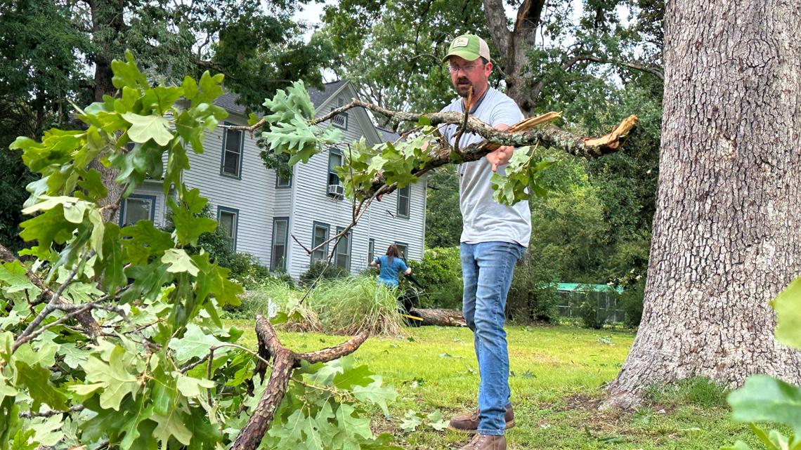 Clean-up continues in Eden after storms leave wide spread damage - Vimarsana News