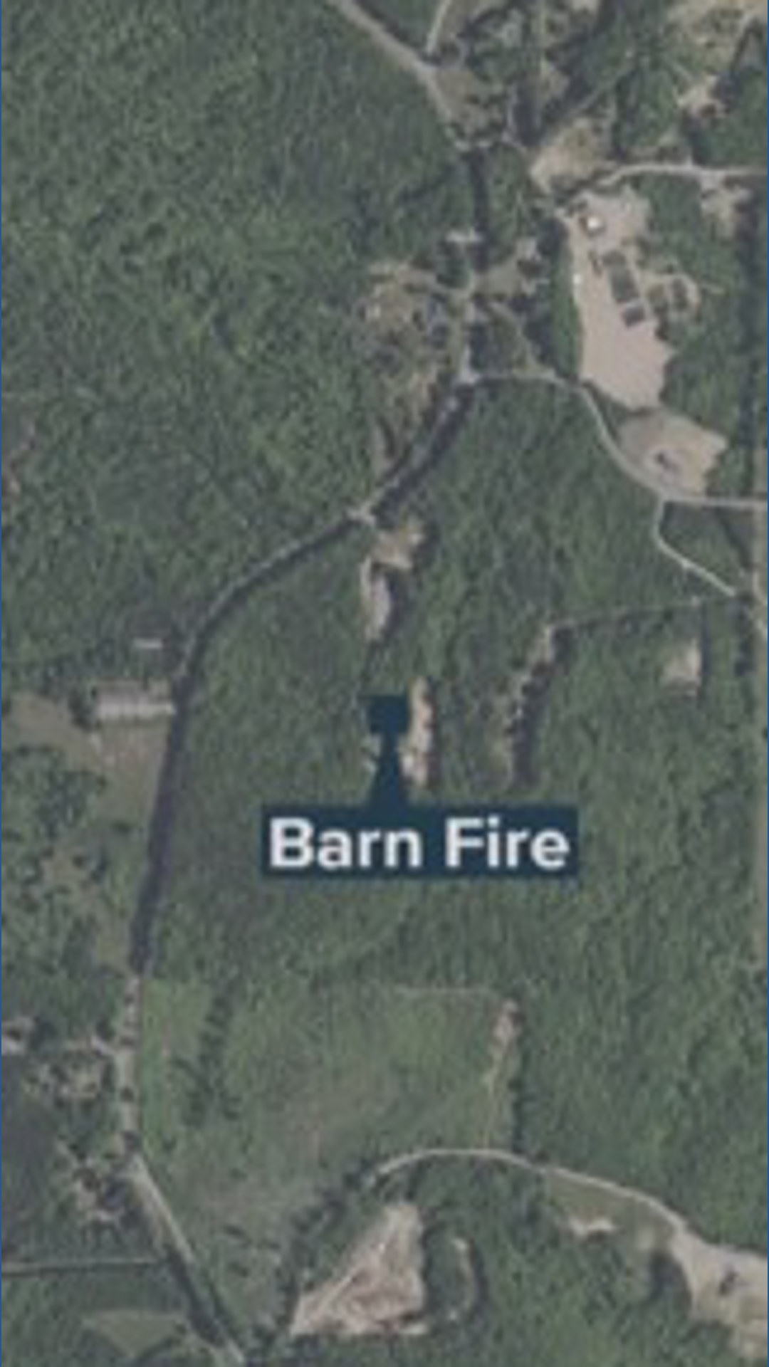Three horses killed in Forsyth County barn fire | wfmynews2.com