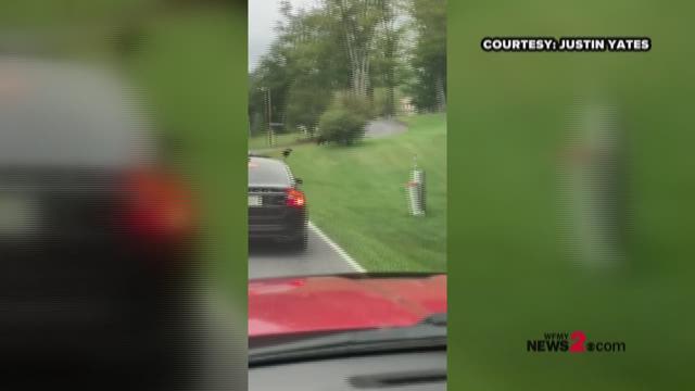 Adorbs Alert Baby Bears Cross Road With Mama Bear In Nc Mountains