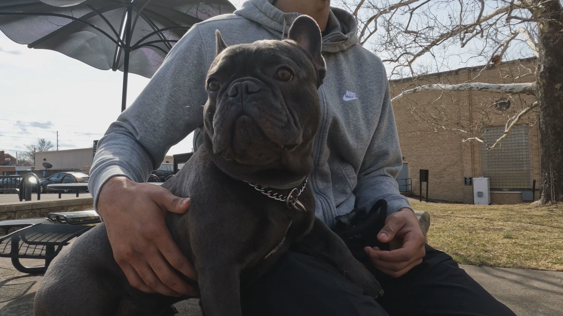 Davion Mintz may not have returned to Kentucky basketball last season without the help of his registered support dog, Ghost.