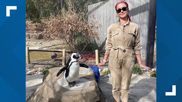 Katy Perry makes stop at the Louisville Zoo