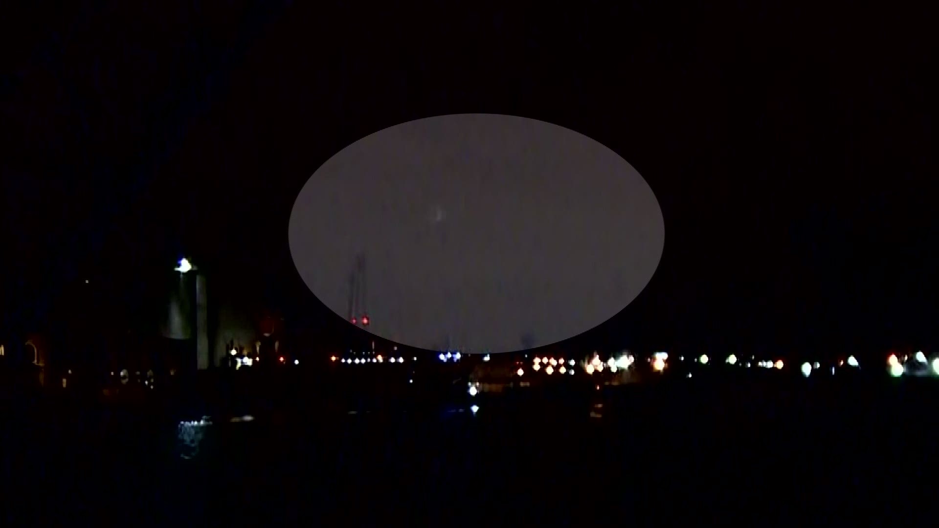 At first glance, it looks like our camera captured a UFO one morning. But look closer and it's clearly a bird.