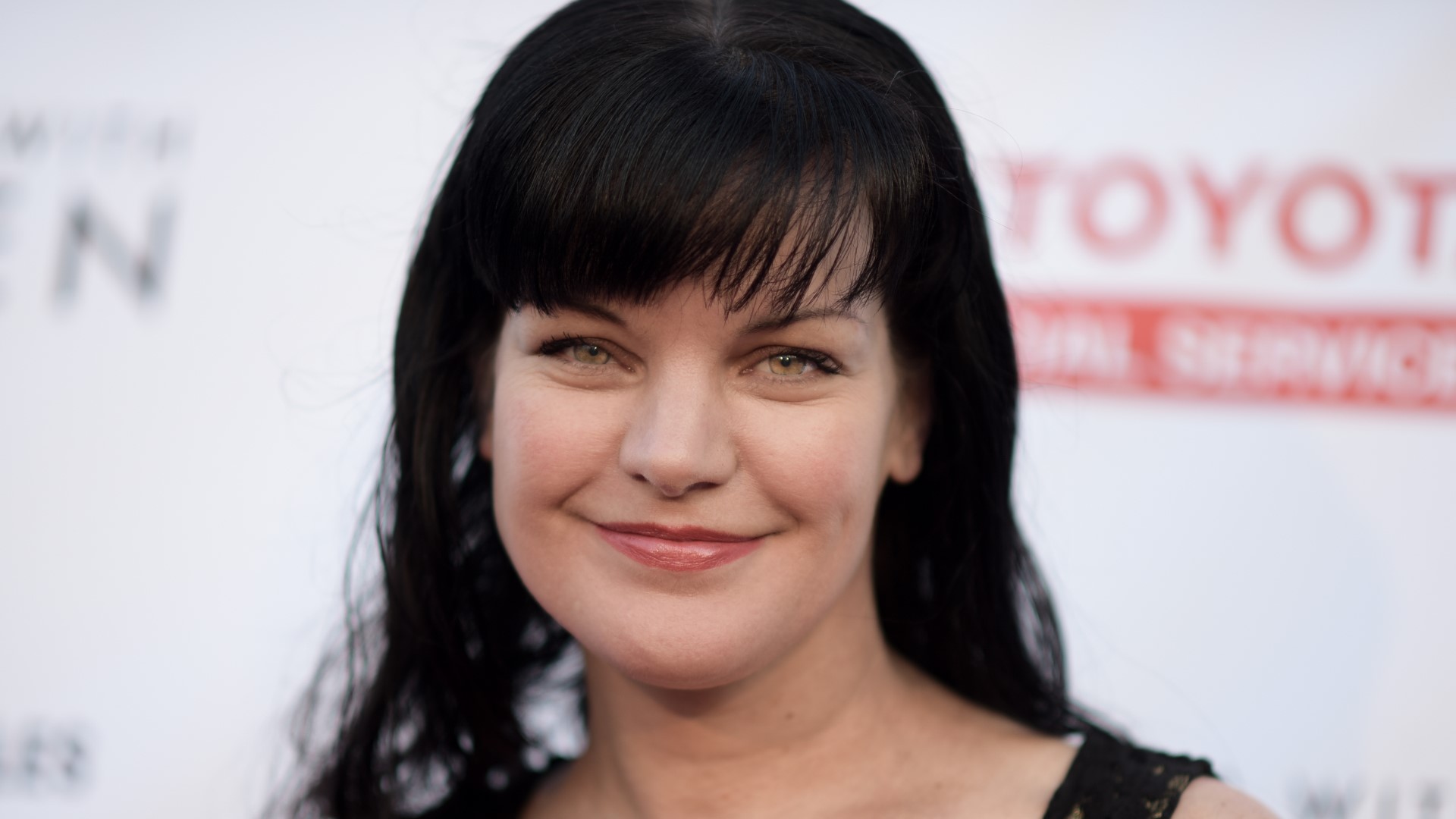 Former "NCIS" star Pauley Perrette says she will never return to the show, going so far as to say she was "terrified" of her former co-star Mark Harmon.
