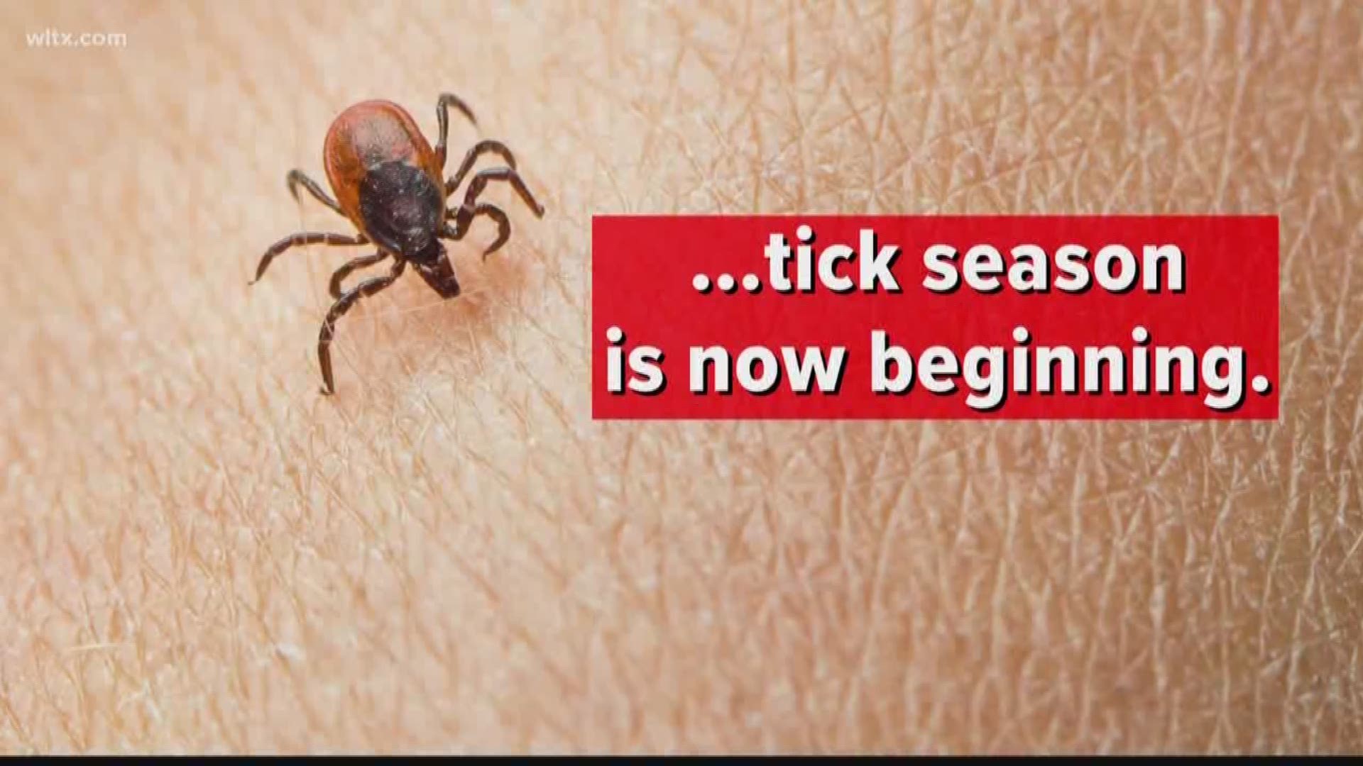 We have the details on why there has been an increase in illnesses caused by tick bites in the past couple years.