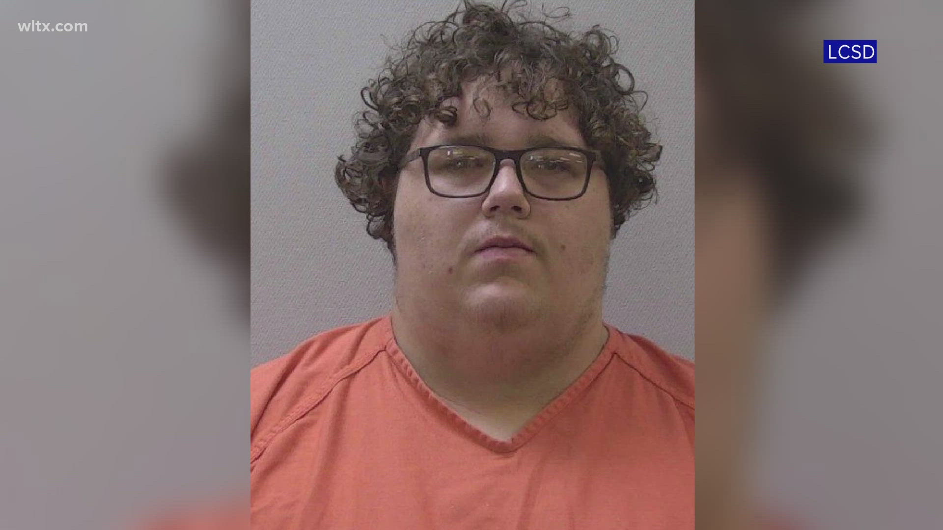 Lexington County deputies have arrested a Little Mountain man accused of sexual activity with teen girls he lured to meet him with promises of vaping devices.