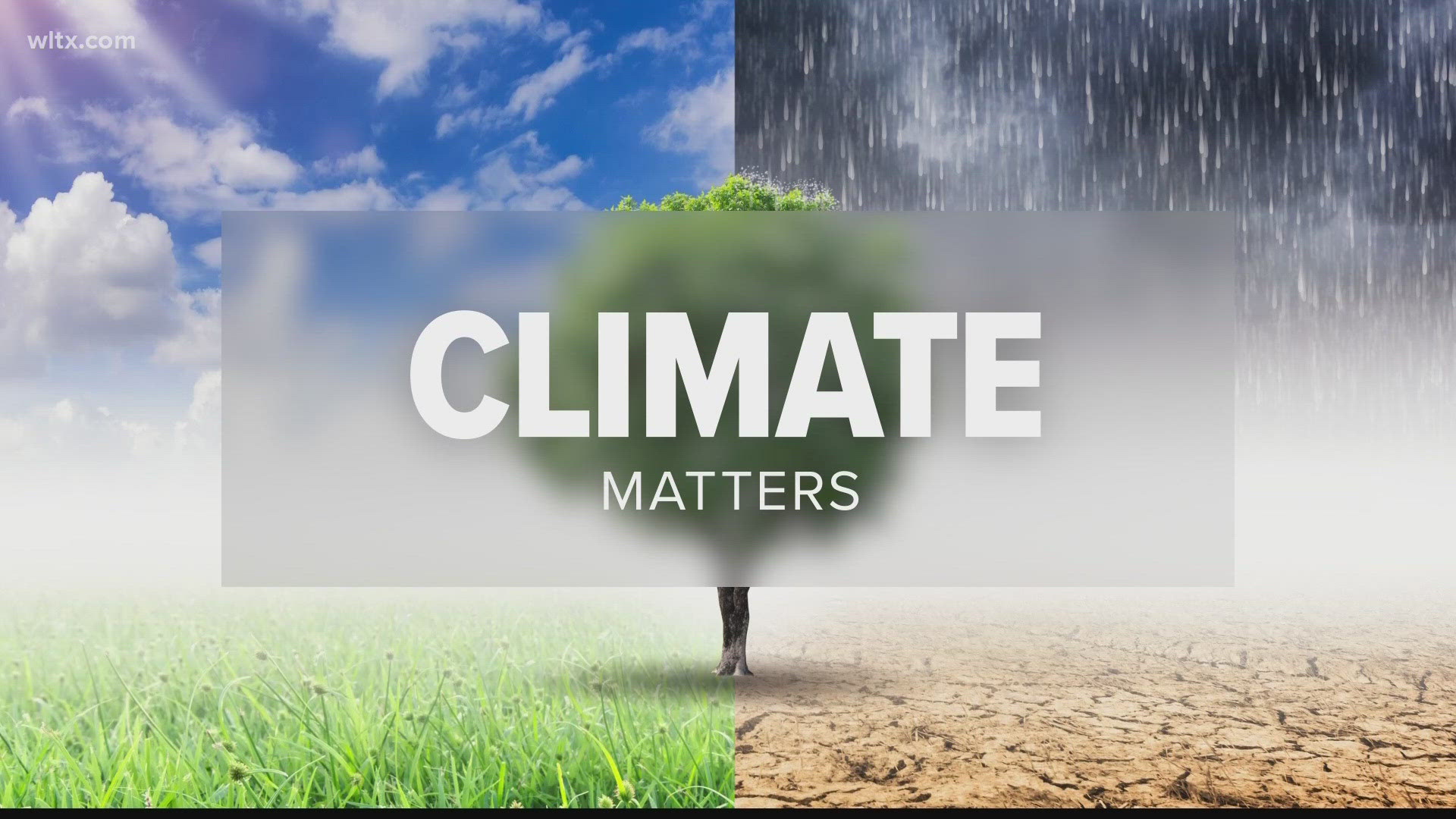 This year, 2024, is on track to be either the warmest or second warmest on record. What is causing this warming and why does it matter?