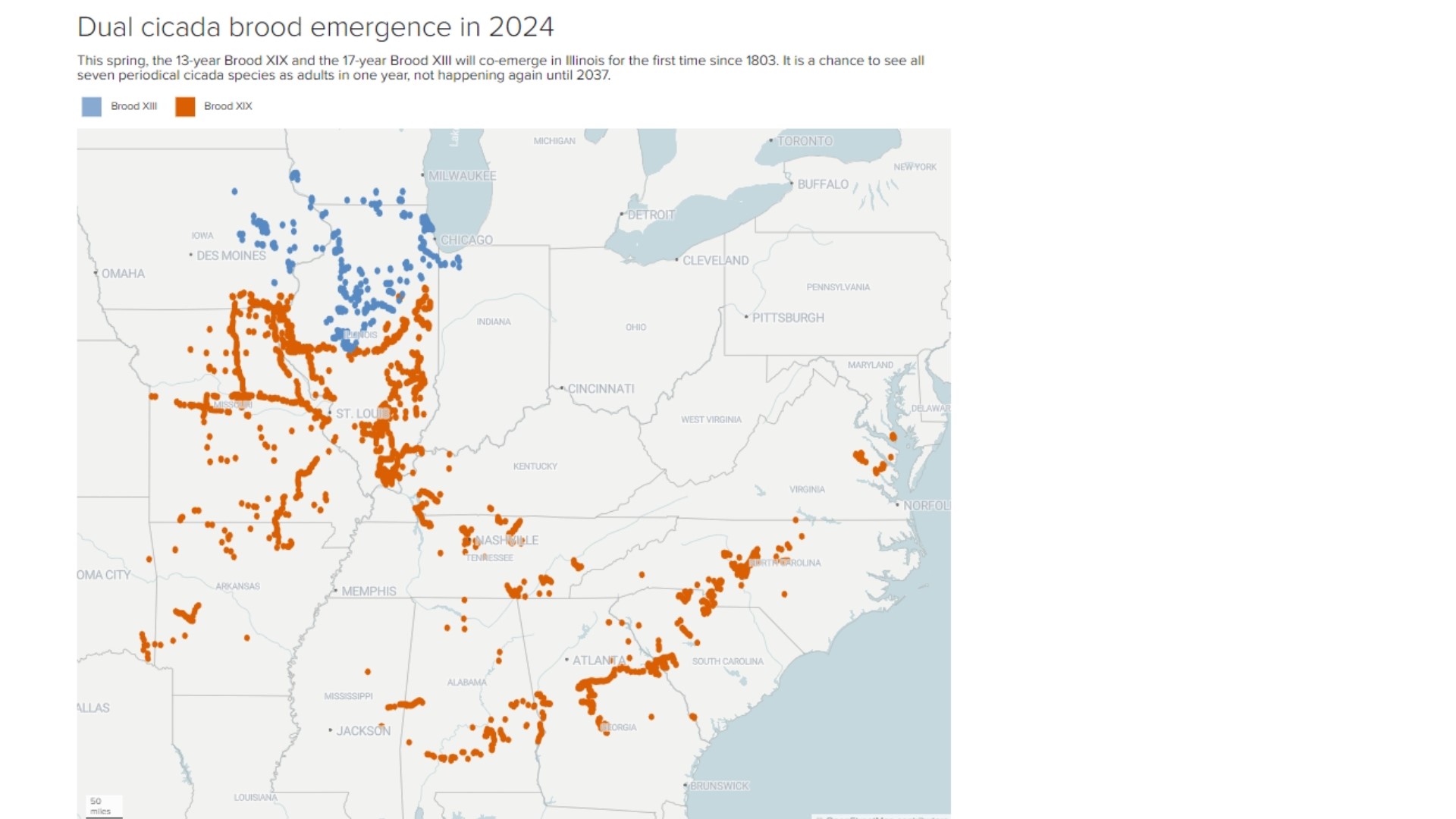 Maps show where trillions of cicadas will emerge in the U.S.