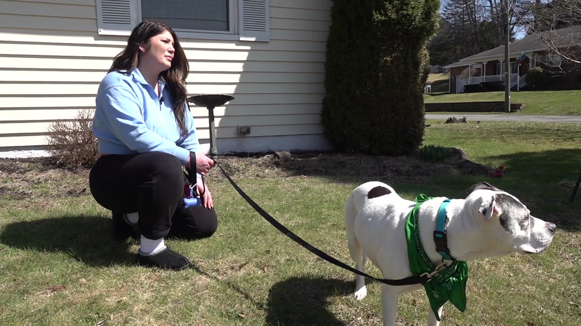 Owner reunites with dog stolen from her backyard more than a decade ago ...