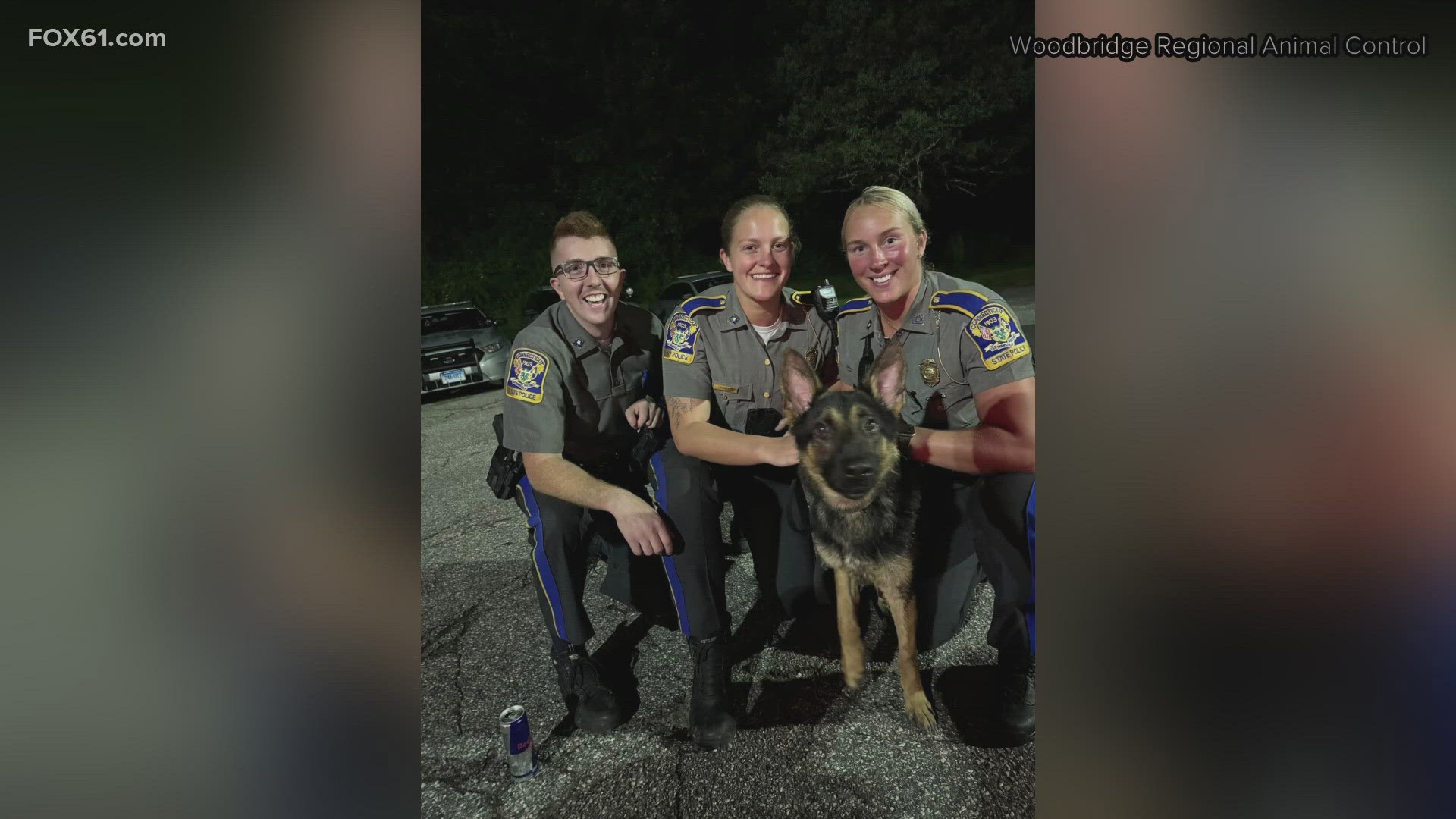 The German Shepherd was named "Route" by state police after being found on Route 8.