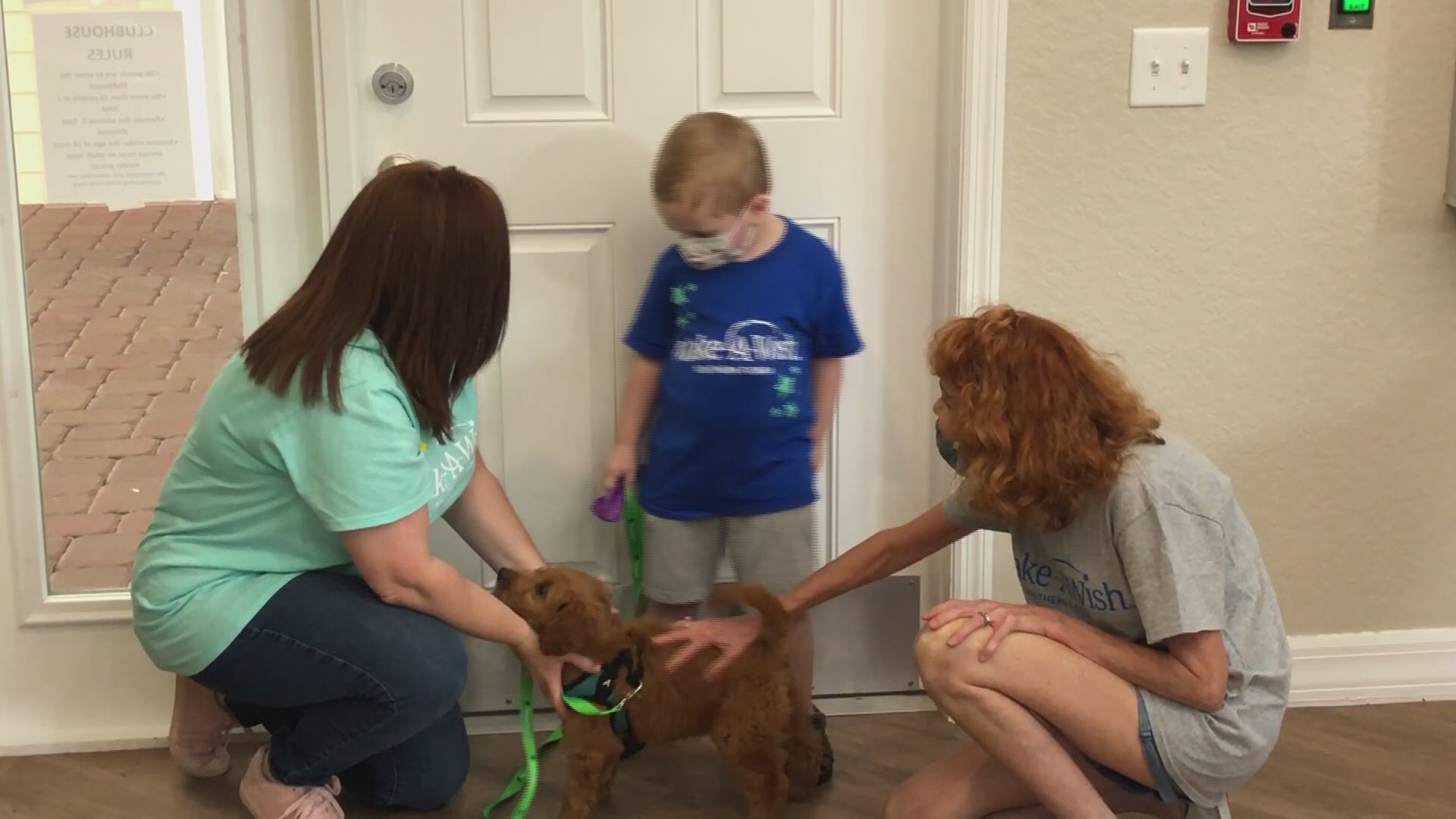 Wish granted: Florida boy battling cancer gets a new puppy | wfmynews2.com