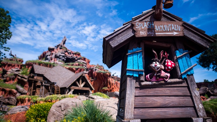 Crowds lined up for a final ride on Disney World's Splash Mountain