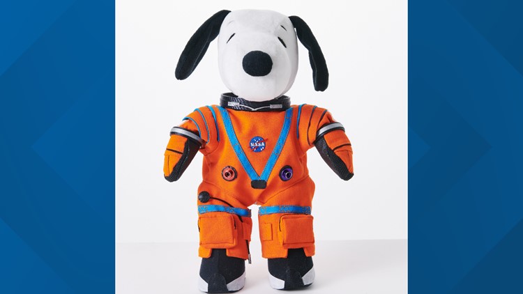NASA's moon rocket carries small, important beagle