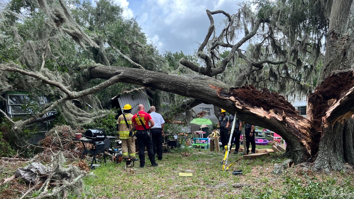 Weeki Wachee woman dies after tree falls onto mobile home | wfmynews2.com