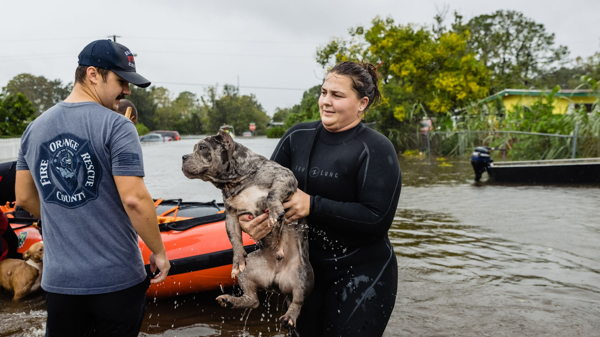 Pets and owners rescued from flood waters after Hurricane Ian ...