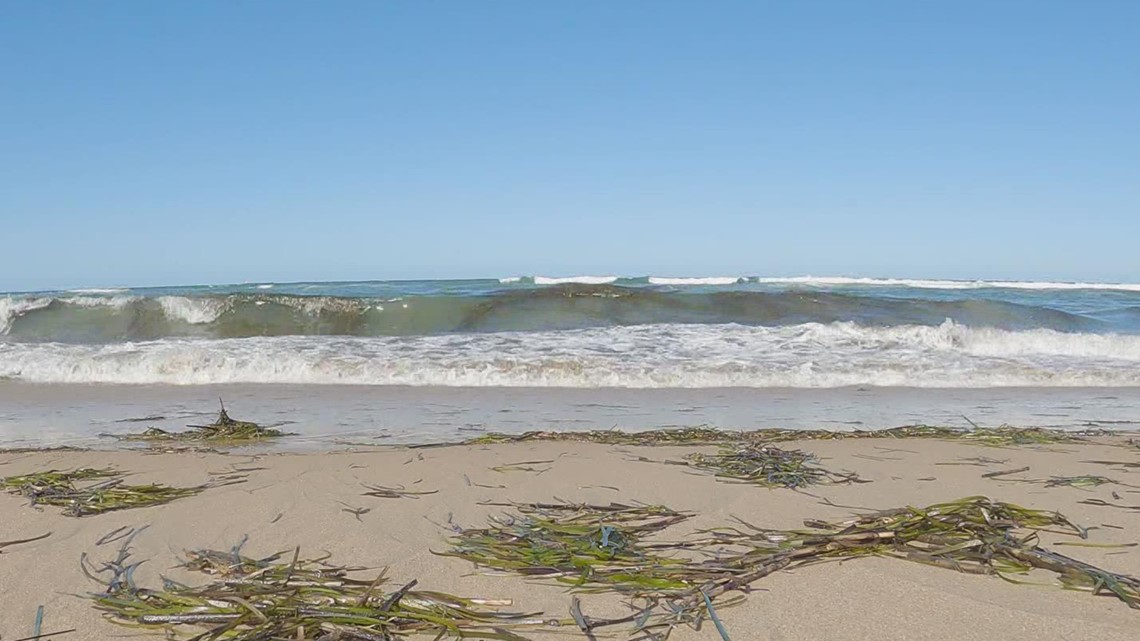 Woman swimming with friend off Outer Banks dies - Vimarsana News